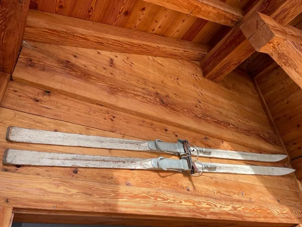 Chalet Moose Morzine Frankreich